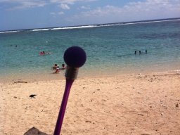 Lagon de Saint Gilles